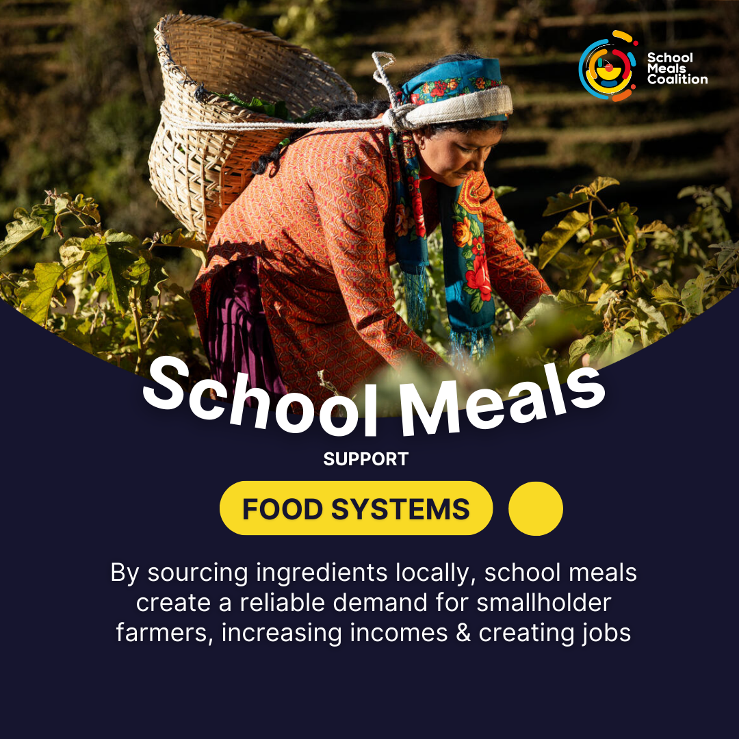 SMC visual social food