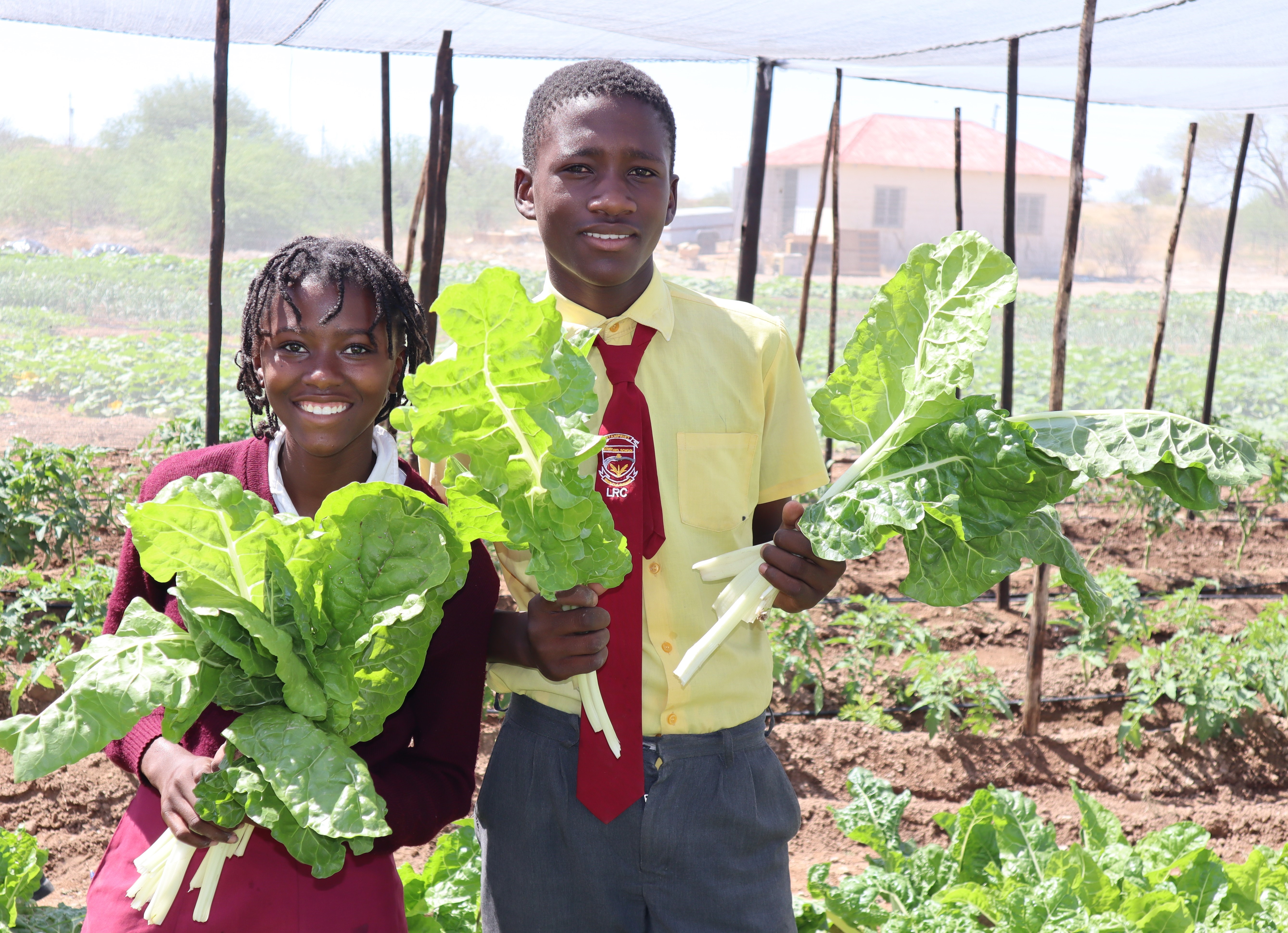 Nutrition school gardens are helping students to learn best practices for horticulture production.