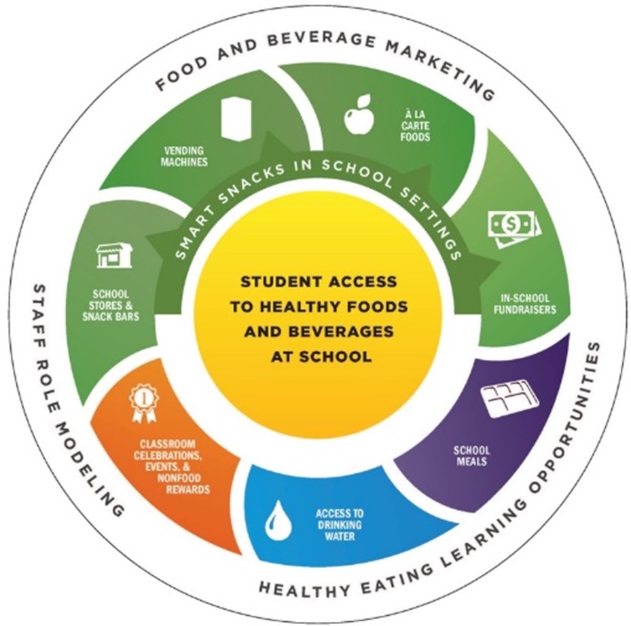 Infographic illustration