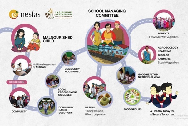 NESFAS INFOGRAPHICS