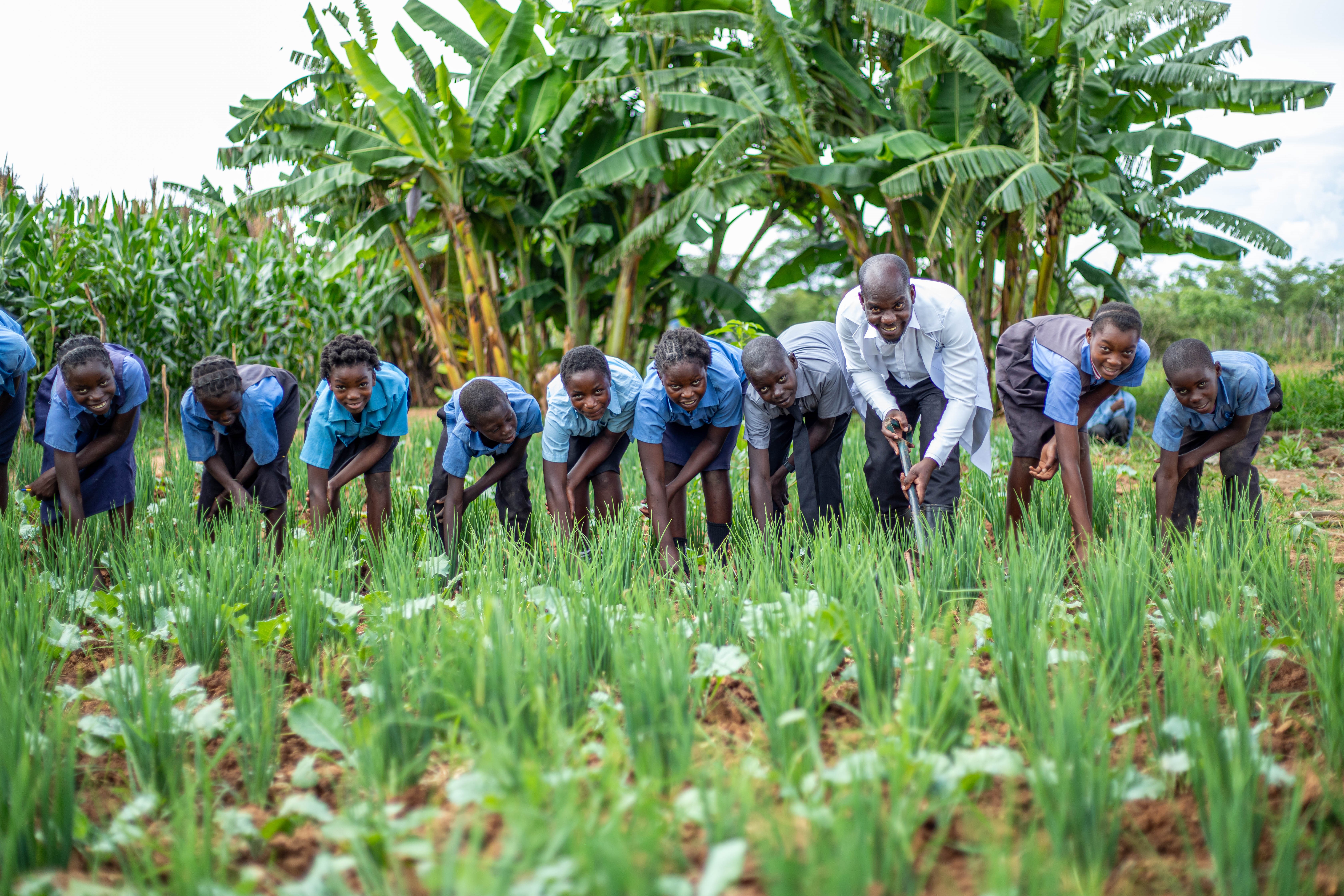 Students and teacher in action in the Mwaimwene school garden.