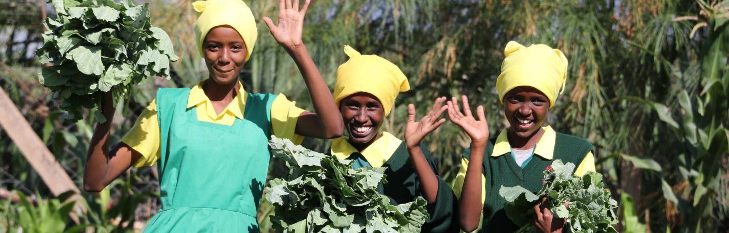Three women holding green leaves in their hands