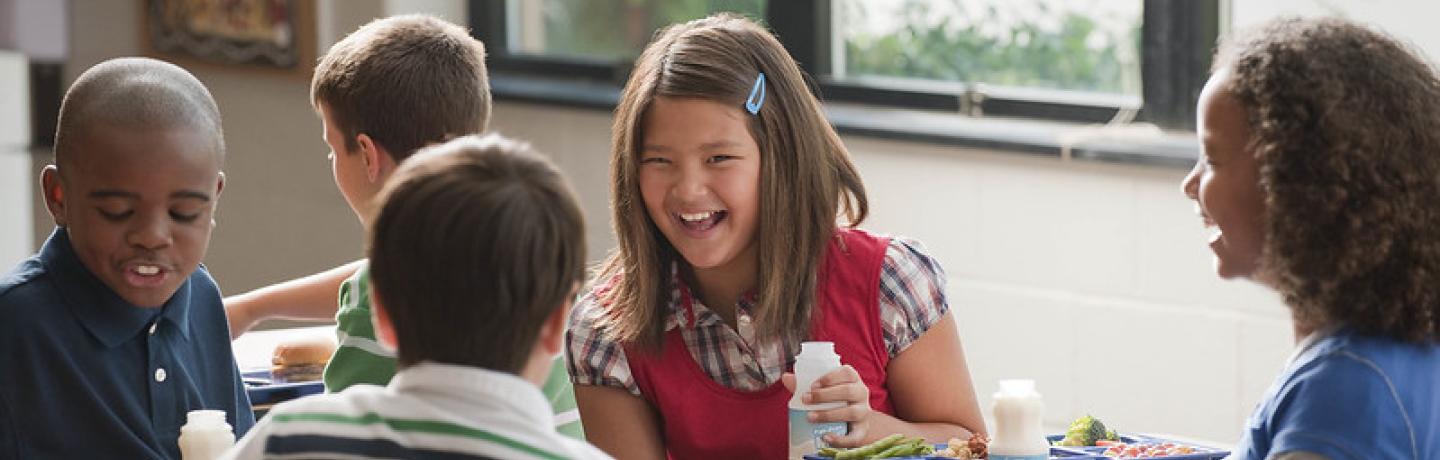 USA school meals