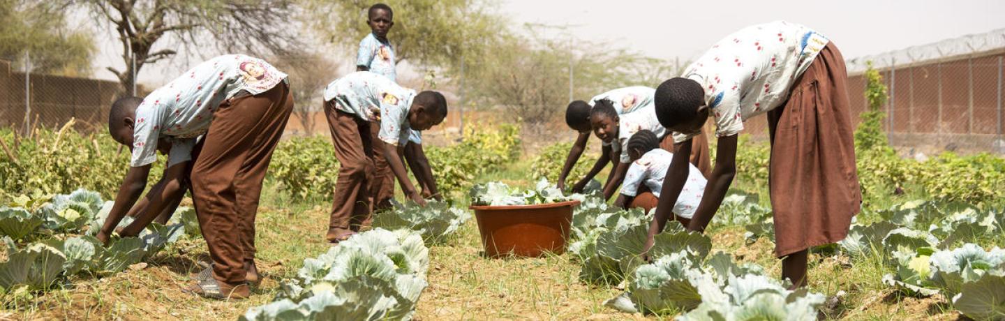 burkina faso school meals