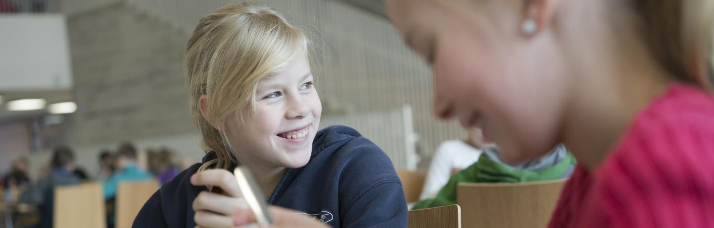 school meals finland
