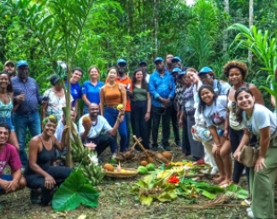 A group of people in the forest 