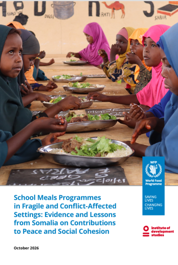 Somalia report 