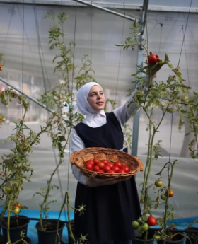 A girl wearing a hijab holds a basket filled with ripe tomatoes.