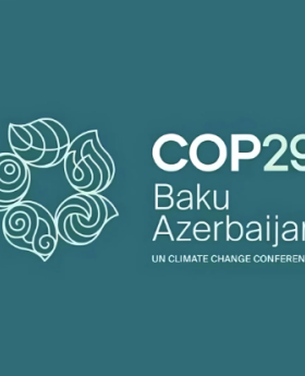 COP29 